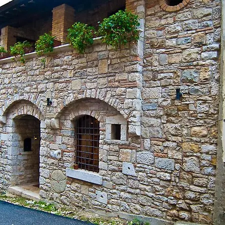 Pa' Carrera